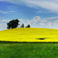 Landschaftspflege