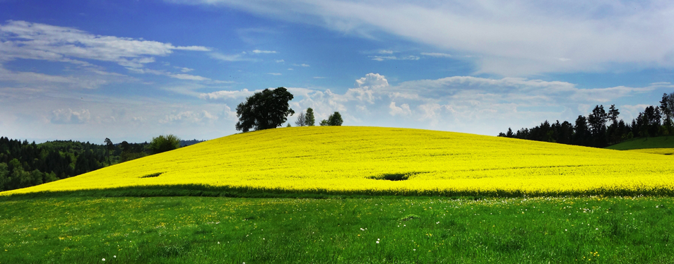 Landschaftspflege